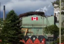 An AI-made Canadian trade-war anthem featuring Mountie bears and battle-ready beavers is going viral