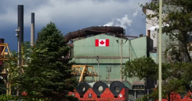 An AI-made Canadian trade-war anthem featuring Mountie bears and battle-ready beavers is going viral