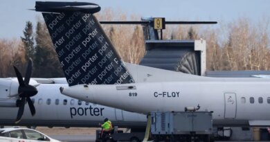 An airline had to cancel a flight and rebook passengers for the next day because a child refused to sit down and buckle up | Fortune