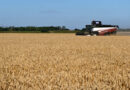 Analysis-Decades of farm gains, inventories strengthen food system against 'super' El Nino