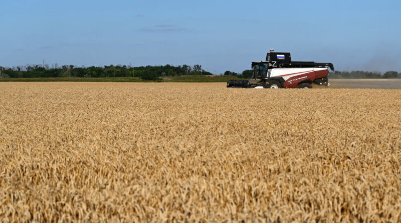 Analysis-Decades of farm gains, inventories strengthen food system against 'super' El Nino
