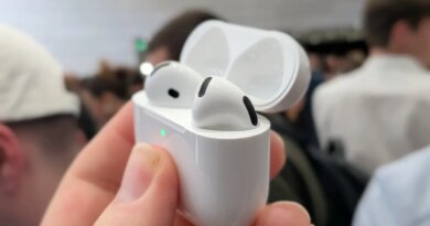 AirPods in a case