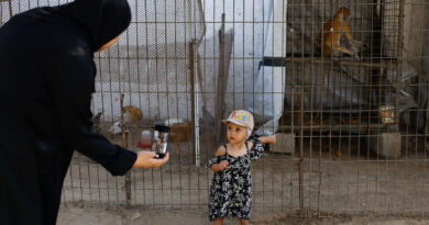 At a Gaza zoo, war takes its toll on the animals