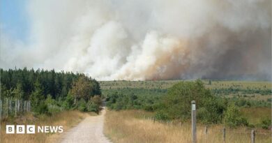 A plume of smoke rises into the sky during a wildfire in the Hautes Fagnes (High Fens) nature reserve in Belgium