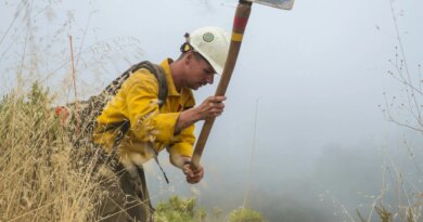 California tackles multiple wildfires as firefighter workforce faces strain