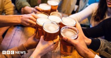 A young group of friends clinking pint glasses of beer together around a pub table