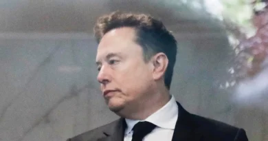 Elon Musk said SpaceX's AI revenue will outpace all its other products by next month