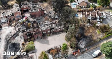 An aerial image shows several houses destroyed by fire, with their roofs gone and wreckage visible within. There is a line of dead trees next to the houses and areas of scorched earth. A fire engine is parked by one of the houses.