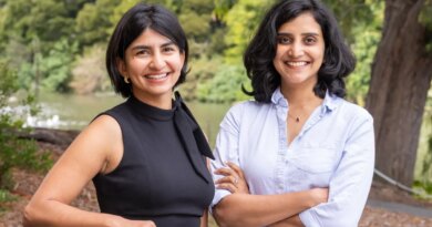 Gamma acquires Accel-backed design startup Lica | TechCrunch