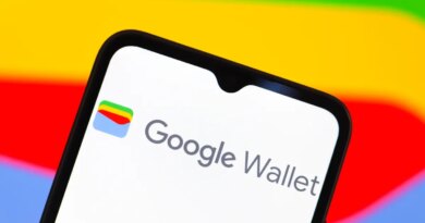 Google Wallet logo