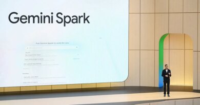 Google's Gemini has a branding problem, and so does the rest of AI | TechCrunch