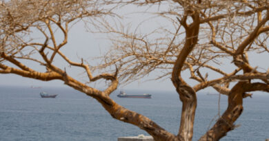 Gulf shipping traffic via Strait of Hormuz falls to six vessels