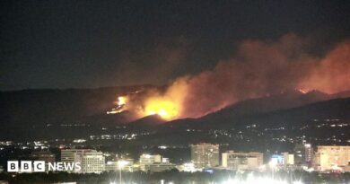 Two people look over what appears to be a domestic fence. They are looking at where smoke is rising from hills in the background. 