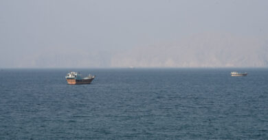Hormuz ship crossings hover in single digits, data shows