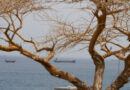Hormuz shipping traffic falls to one-week low amid hostilities