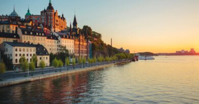 How Sweden built one of Europe’s hottest startup ecosystems  | TechCrunch