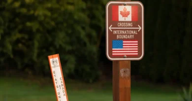 How Trump's new trade war with Canada affects everything from building new homes to dog jackets