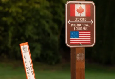 How Trump's new trade war with Canada affects everything from building new homes to dog jackets