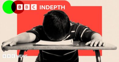 BBC InDepth