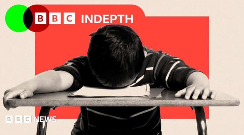 BBC InDepth