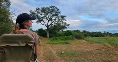 I quit my finance job and moved to a new country to work in a totally different field. My excitement outweighed any fear.