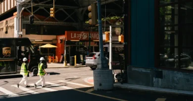 Inside New Yorkers' hopes and fears over Mamdani's city-run grocery stores