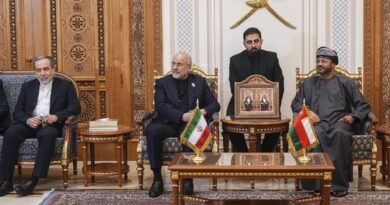 Iran-Oman Hormuz route talks near 'completion': What to know