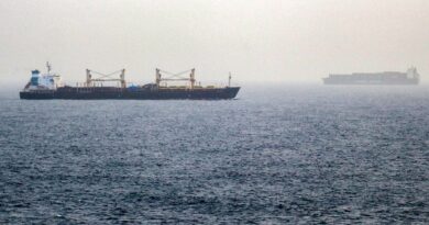 Iran-Oman deal spurs Hormuz hopes as Red Sea threats evolve