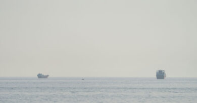 Iranian parliamentary committee reviews draft bill to bar US, Israeli ships from Hormuz, Fars says