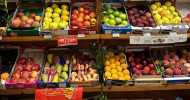 I'm an American who lived in Rome. These were the 6 most surprising things about grocery shopping in Italy.