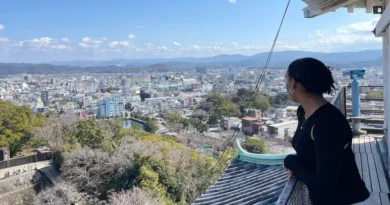 I've traveled beyond Japan's popular Tokyo-Kyoto-Osaka route. There are 4 cool day trips I'd actually recommend.