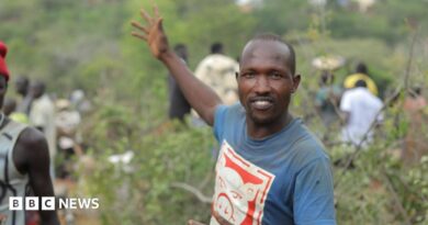Manasse Lomachar in a blue T-shirt with a cartoon pig printed on it looks at the camera but gestures behind him with his right hand. In the background, out of focus, people can be seen working among the shrubs.