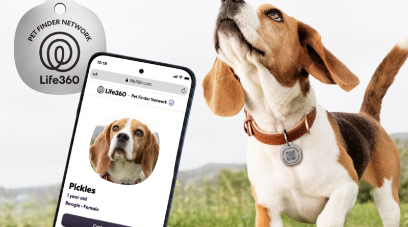 Life360 expands pet tracking with new $8 scannable tags and zoomie alerts | TechCrunch