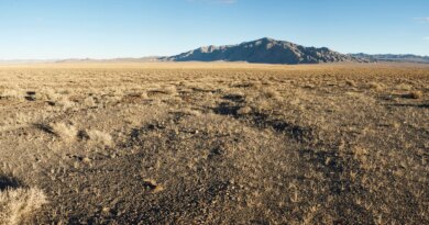 Lumina Metals Stock: Good Growth Prospects After A Successful IPO (OTCMKTS:LMCUF)