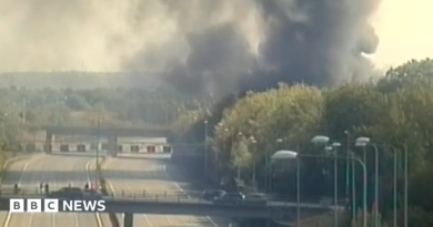 A large plume of smoke by the M25 motorway, with cars on the road across a bridge. Trees are to the left and all around the road.
