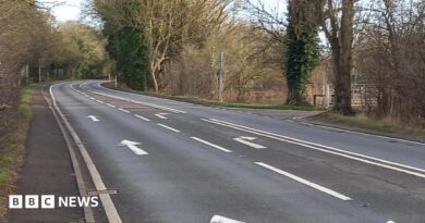 An A road, with road markings pointing straight ahead and right. Bare trees line the road on either side side