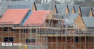 Housing development