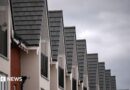 The tops of new build houses standing in a  row