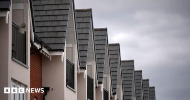 The tops of new build houses standing in a  row