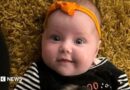 Dahlia-Rose Gartshore, a three-month-old baby girl looking at the camera, with a slight smile. She has an orange band on her head with a bow.