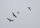 National Guard Troops Deploy Tech That Distinguishes Drones From Birds