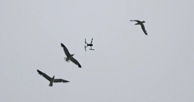 National Guard Troops Deploy Tech That Distinguishes Drones From Birds
