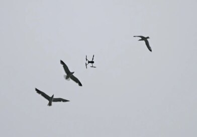 National Guard Troops Deploy Tech That Distinguishes Drones From Birds