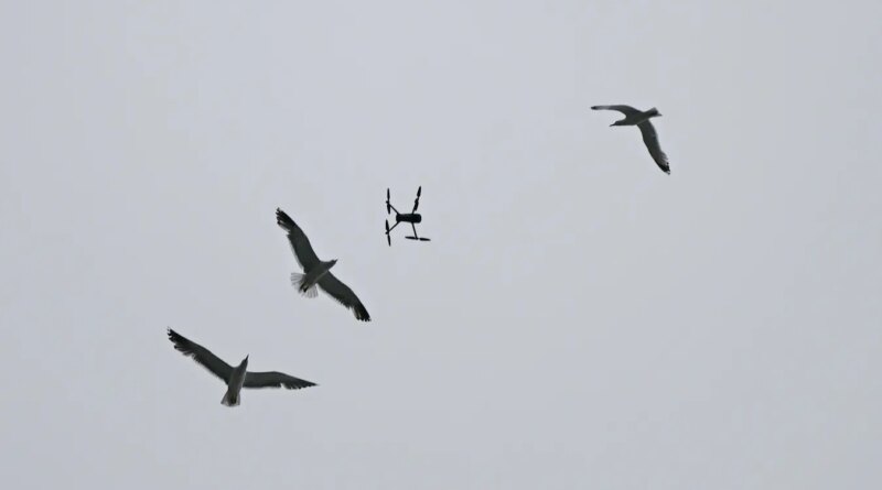 National Guard Troops Deploy Tech That Distinguishes Drones From Birds