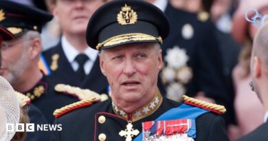 King Harald of Norway attends the Royal Wedding to Prince William to Catherine Middleton at Westminster Abbey on April 29, 2011 in London, England