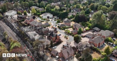 An aerial view of the devastation that wildfires have taken on an area of Stourbridge. Several houses are blackened or destroyed, with a field behind the houses completely black.