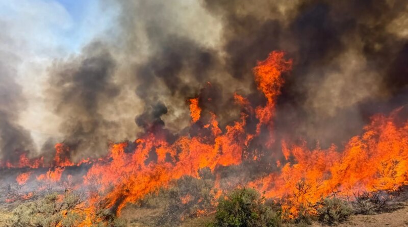Pilot and crew member die in helicopter crash battling Utah fire