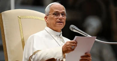 Pope Leo warns AI could become a new form of 'economic colonialism'