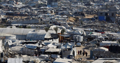 Regional states condemn Israeli strikes in Gaza; Israel blames Hamas
