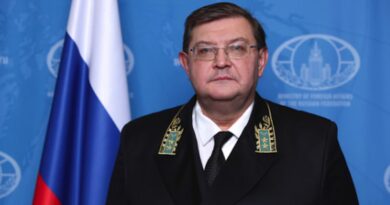 Russia names Dmitry Dogadkin new ambassador to Syria amid thaw: What to know